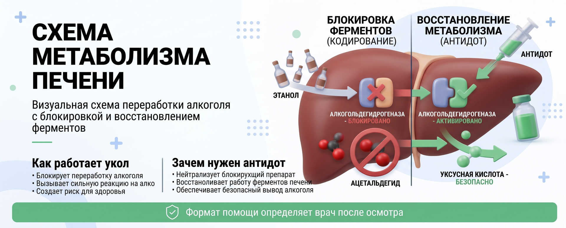 Схема метаболизма печени с процессами блокировки ферментов при кодировании и их восстановлением с помощью антидота